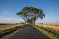 Country road passing through wheat fields. Royalty Free Stock Photo