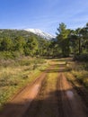 A country road in a pine forest on the Greek island of Evia with a view of mount Dirfys in the snow in Greece on a Sunny winter da
