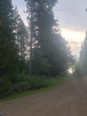 Country road pine trees sunset getaway