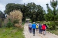 Country Road in Portugal with vegetation on both sides. Group of
