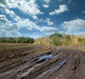 Country road after the rain Royalty Free Stock Photo