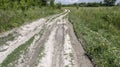 Country road after rain