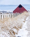 Country road with red barn in winter Royalty Free Stock Photo