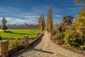 Country road among rows of trees poplar cypress trees with autumn colors Royalty Free Stock Photo