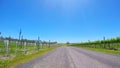 Country road through rows of young grape vines in McLaren Vale, South Australia. Royalty Free Stock Photo