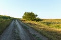 Country road running between fields, on one side by a sunflower field and hills, summer hot day Royalty Free Stock Photo