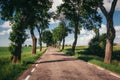 Country road running through tree alley Royalty Free Stock Photo