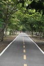 Thai country road running through tree alley Royalty Free Stock Photo