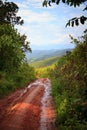 Country road on rural scene Royalty Free Stock Photo