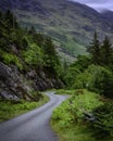 Country road in rural  Scotland ,UK Royalty Free Stock Photo