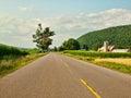 Country road Royalty Free Stock Photo