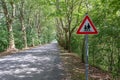 Country road with a school warning sign between huge green leafy trees