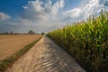 Country road skirts corn field and plowed fields