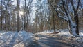 Country road in the snowy woods in the Netherlands on a winter day Royalty Free Stock Photo