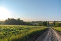 Country road by soybean field Royalty Free Stock Photo