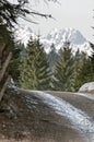 Country road with spruce forest and snow-capped mountains in background Royalty Free Stock Photo