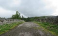 Country road with stone wall