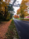 Country Road with Stunning Fall Colors Royalty Free Stock Photo