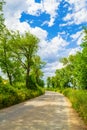 Country road in summer scenery Bulgaria Royalty Free Stock Photo