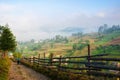 Country Road at sunny morning, Vorokhta, Carpathian Mountains, Ukraine Royalty Free Stock Photo