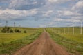 country road at sunset in a green field Royalty Free Stock Photo