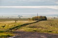 country road at sunset in a green field Royalty Free Stock Photo