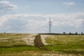 country road at sunset in a green field Royalty Free Stock Photo