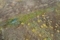 Country road between swampy fields. wetland landscape. aerial view