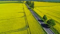 Country road thru rapeseed field Royalty Free Stock Photo