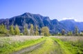 Country road to a mountain range with a strip of trees in Columbia Gorge Royalty Free Stock Photo