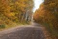 Country road with trees in fall color in northern Minnesota