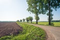 Country road with trees next to a plowed field