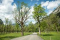 country road trhough Ahornboden valley, spring landscape Tyrol