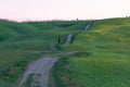 Country road in the Tuscany countryside during sunrise,  Italy Royalty Free Stock Photo