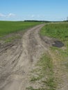 Country road between two fields stretching into the distance against a blue sky Royalty Free Stock Photo