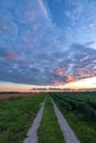 Country road under colorful evening sky Royalty Free Stock Photo