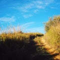 Country road up the hill. Rural landscape. Toned. Royalty Free Stock Photo