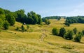 Country road uphill into the beech forest Royalty Free Stock Photo