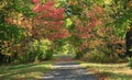 Country Road in Upstate New York