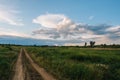 Country road with grass, trees and clouds at evening