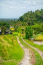 Country road on the way to the rice terraces. Bali Indonesia Royalty Free Stock Photo