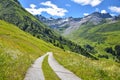 Country road through wildflower meadow, view to Gafiertal valley, near St. antonien grisons Royalty Free Stock Photo