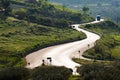 Country road winding in backlight