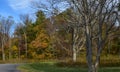 Country Road Winds Into a Mountain Forest on a Bright Fall Afternoon Royalty Free Stock Photo