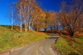 A country road winds past autumn foliage Royalty Free Stock Photo