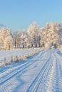 Country road in wintry landscape Royalty Free Stock Photo