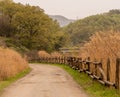 Country road with wood rail fence Royalty Free Stock Photo
