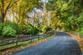 Country road through a wooded park during autumn