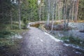 Country road and wooden boardwalk in forest.The first snow. Estonia. Royalty Free Stock Photo
