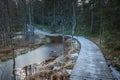 Country road and wooden boardwalk in forest. The first snow. Royalty Free Stock Photo